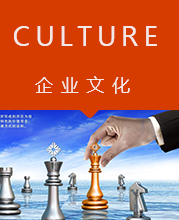 企业文化